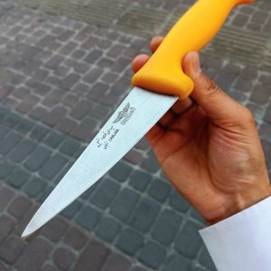 بیخس دسته پلاستیک حیدری ( قیمت اقتصادی )